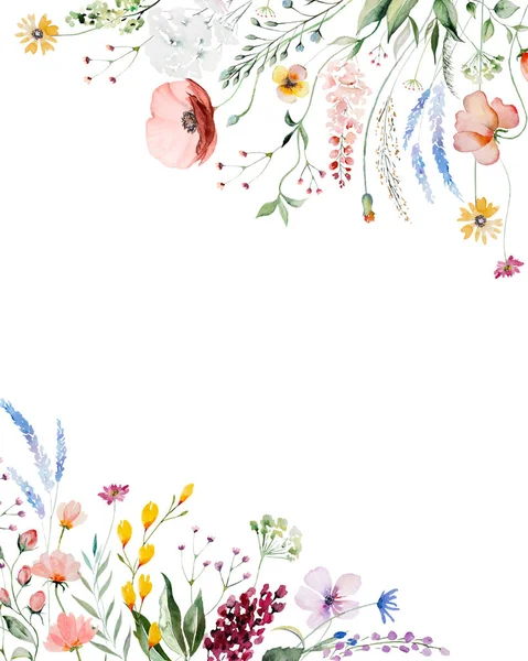 Gräns Gjord Färgglada Akvarell Vildblommor Och Blad Illustration Isolerad Trädgård — Stockfoto