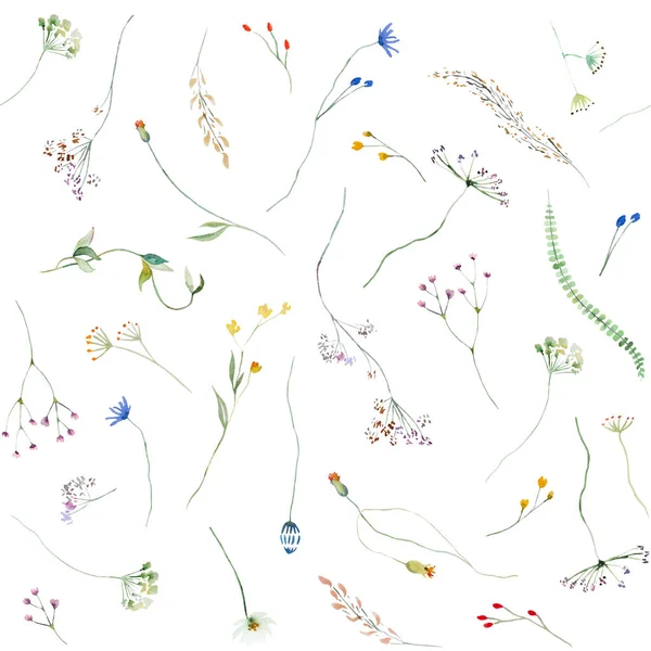 Płynny Wzór Wykonany Kolorowych Akwareli Dzikich Kwiatów Liści Ilustracji Odizolowany — Zdjęcie stockowe