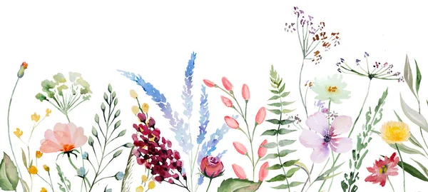 Bordure Faite Fleurs Sauvages Aquarelle Colorée Illustration Des Feuilles Isolé — Photo
