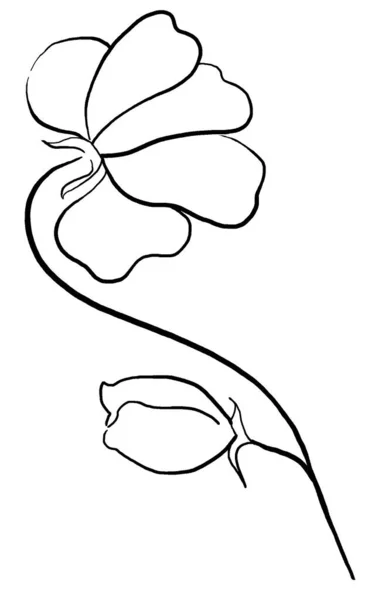 Рука Намальована Чорна Дика Квітка Ілюстрація Ізольована Романтичний Квітковий Елемент — стокове фото
