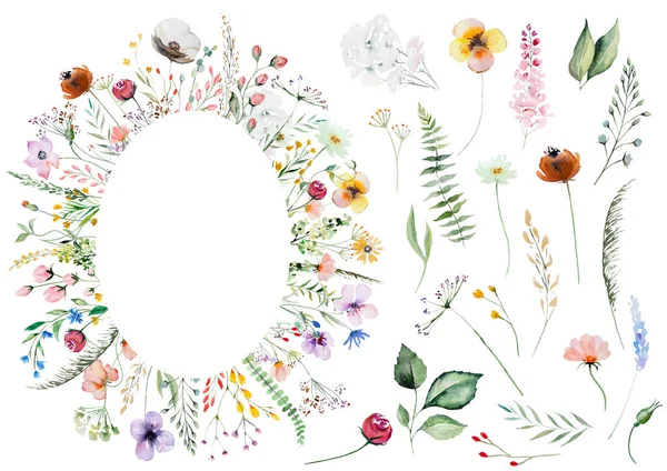 Cadre Ovale Aquarelle Colorée Fleurs Sauvages Feuilles Illustration Éléments Isolés — Photo