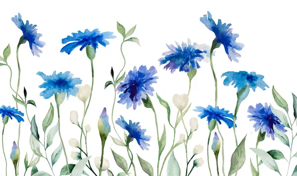 Akwarela Niebieski Kukurydziany Granica Dziki Kwiat Odizolowany Ilustracja Ogród Kwiatowy — Zdjęcie stockowe