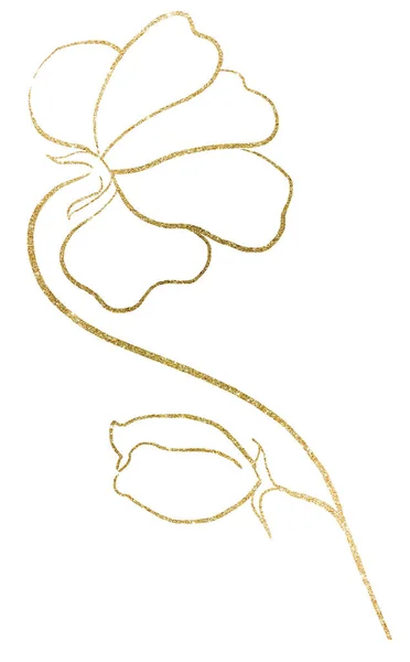 Disegnato Mano Frizzante Fiore Selvatico Oro Illustrazione Isolata Romantico Elemento — Foto Stock