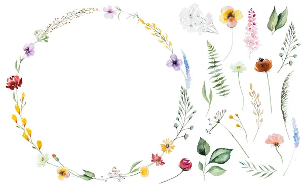 Runder Rahmen Aus Farbenfrohen Aquarell Wildblumen Und Blättern Illustration Isolierte — Stockfoto