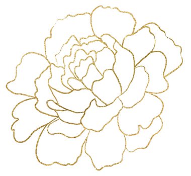 El çizimi şakayık çiçeği, ışıldayan altın izole bir illüstrasyon. Düğün kırtasiyesi için romantik çiçek unsuru, tebrik kartları.