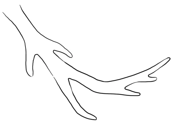 Elle Çizilmiş Geyik Boynuzları Siyah Çizgiler Izole Çizimler Boho Düğün — Stok fotoğraf
