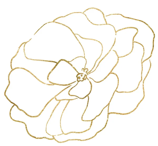 Kézzel Rajzolt Csillogó Arany Bazsarózsa Virág Illusztráció Elszigetelt Romantikus Virágos — Stock Fotó