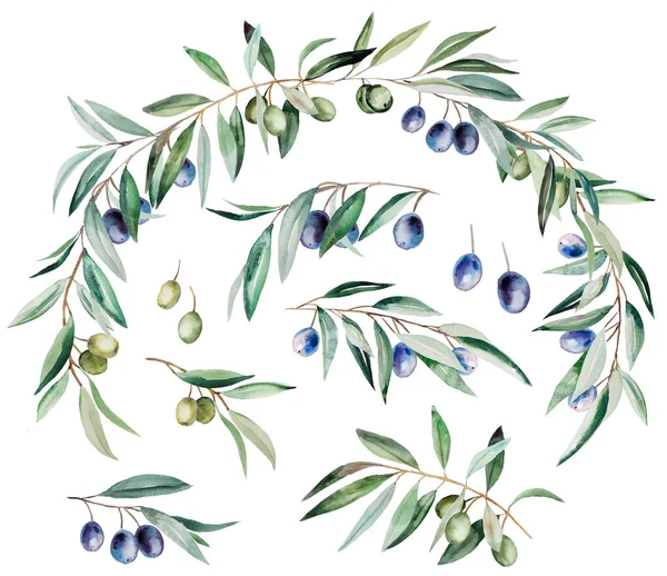 Στεφάνι Ακουαρέλας Από Κλαδιά Ελιάς Μπλε Και Πράσινα Φρούτα Και — Φωτογραφία Αρχείου