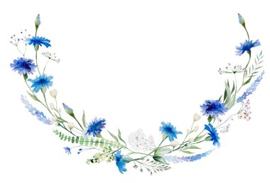 Suluboya Mavi çiçek çelengi, yaban çiçeği izole edilmiş illüstrasyon. Yaz düğün kırtasiyesi ve tebrik kartları için bahçe çiçekleri.