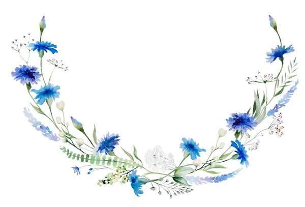 Akvarel Modrá Chrpa Věnec Volně Květ Izolované Ilustrace Zahradní Květinový — Stock fotografie