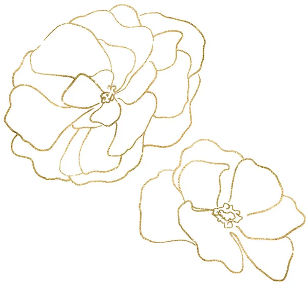 Ručně Kreslené Třpytivé Zlaté Pivoňkové Květy Ilustrace Izolované Romantický Květinový — Stock fotografie