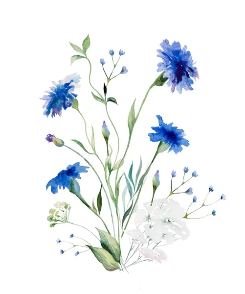 Aquarelle Bouquet Bleuet Bleu Fleurs Sauvages Illustration Isolée Espace Copie — Photo