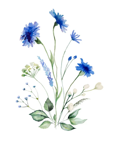 Aquarel Blauwe Korenbloem Wilde Bloemen Boeket Geïsoleerde Illustratie Kopieer Ruimte — Stockfoto