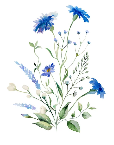 Akvarel Modrý Chrpa Kytice Divokých Květin Izolované Ilustrace Kopírovat Prostor — Stock fotografie