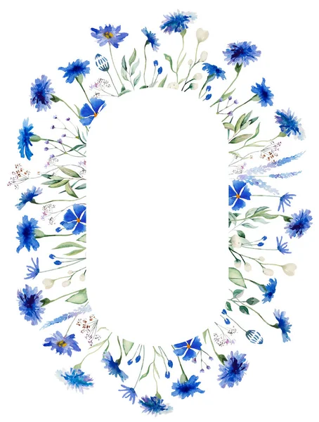Akvarel Modrá Chrpa Volně Rostoucí Květiny Oválný Rám Izolované Ilustrace — Stock fotografie