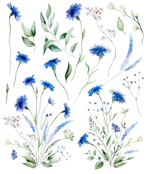 Aquarel Blauwe Korenbloem Boeketten Wilde Bloem Geïsoleerde Illustratie Tuin Bloemenelementen — Stockfoto
