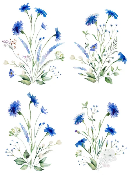 Akvarel Modrá Chrpa Volně Rostoucí Květiny Kytice Izolované Ilustrace Kopírovat — Stock fotografie