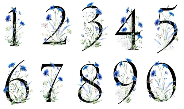 Schwarze Zahlen Mit Aquarellblauen Kornblumen Und Wildblumenstrauß Isoliert Sommer Florale — Stockfoto