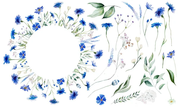 Aquarelle Cadre Éléments Bleuet Bleu Illustration Isolée Fleurs Sauvages Éléments — Photo