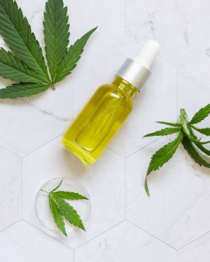 Yeşil kenevir sativasının yanındaki şişe mermer masa manzaralı. Kozmetik Model, Uzayı Kopyala. Organik cilt bakım ürünü. Çevre dostu CBD oi