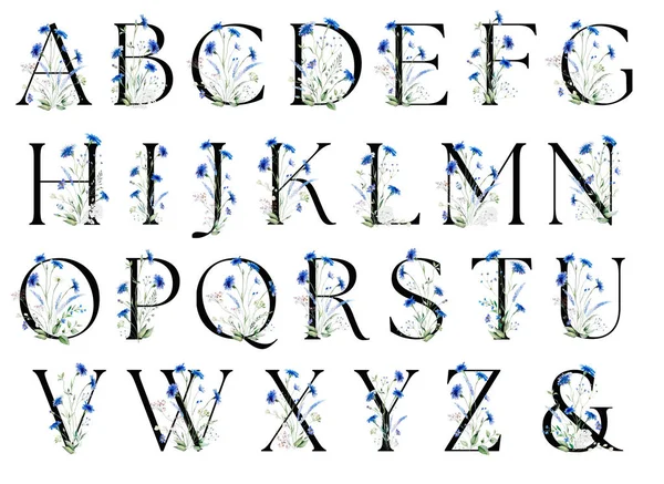 Black Alphabet Letters Watercolor Blue Cornflowers Wildflowers Green Leaves Bouquet — Stock Photo, Image