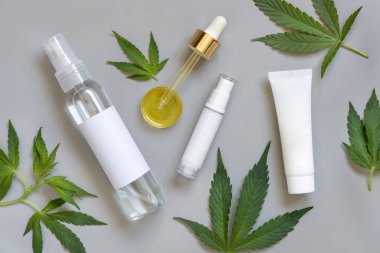 Kozmetik şişeleri, kavanozlar ve üzerinde yeşil kenevir sativa yapraklarının yanında boş etiketler olan pipetler gri bir masanın üstünde. Mockup, uzayı kopyala. CBD Organik cilt ürünleri.