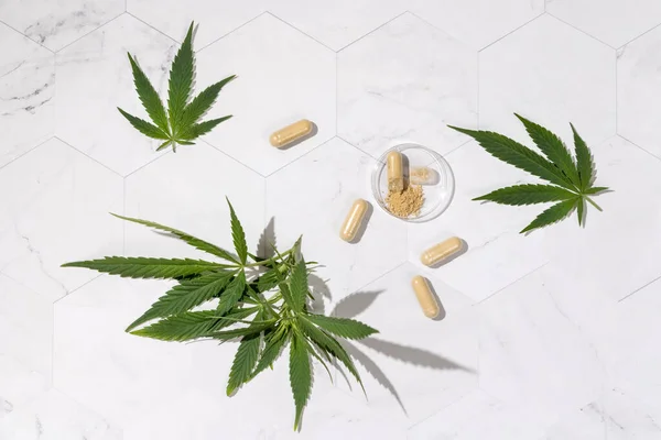 Kapselit Hamppuproteiinijauhetta Lähellä Vihreää Kannabista Lähtee Ylhäältä Näkymä Marmoripöydälle Kovat — kuvapankkivalokuva