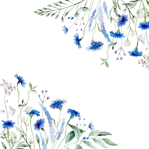 Suluboya Mavi Çiçek Çerçevesi Izole Bir Illüstrasyon Yaban Çiçeği Çiçekleri — Stok fotoğraf