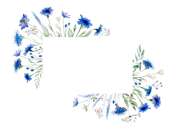 水彩蓝的玉米花和野花长方形框架 孤立的图解 复制空间 夏季婚礼文具和贺卡的花卉元素 — 图库照片