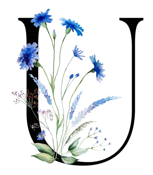 黑色字母U与水彩花蓝色的玉米花和野花奇思绿离开花束孤立的例证 婚礼文具和问候语的字母元素 — 图库照片