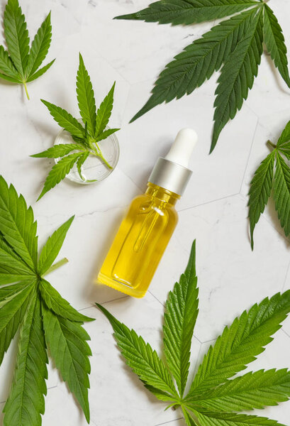 Dropper bottle near green cannabis sativa leaves on a marble table top view. Cosmetic Mockup, Copy space. Organic skincare beauty product. Eco friendly CBD oi