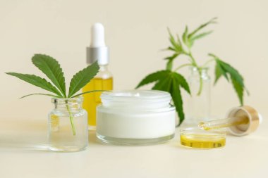 Yeşil kenevir yapraklarının yanındaki krema kavanozları ve şişeler açık sarıya yakın. Organik cilt bakım ürünü. Çevre dostu CBD kozmetik ürünleri. Alternatif sağlık konsepti