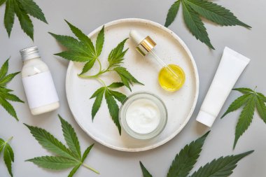 Yeşil kenevir sativa yapraklarının yanındaki krema kavanozu, şişe ve pipette gri masa manzaralı tabakta. Organik cilt bakım ürünü. Çevre dostu CBD Kozmetik