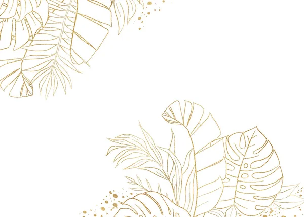 Hranice Zlaté Tropické Palmy Banánu Monstrózních Listů Izolované Ilustrace Botanický — Stock fotografie
