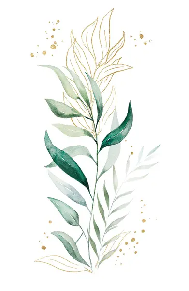 Bukiet Wykonany Zielonych Złotych Liści Eukaliptusa Akwarela Odosobniona Ilustracja Botaniczny — Zdjęcie stockowe