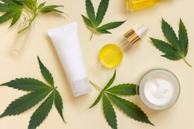 Yeşil kenevir yapraklarının yanında CBD yağ ve krem tüplü boru. Organik cilt bakım ürünleri, doğal alternatif kozmetik ürünleri.