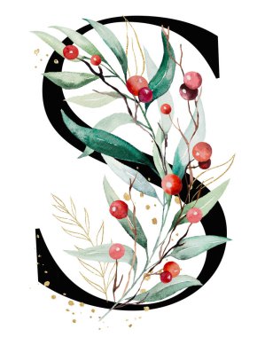 Renkli suluboya dallı siyah S harfi yeşil ve altın yapraklı ve kırmızı böğürtlenli, Noel soyutlanmış resimli. Kış tatili için el boyaması alfabe elementi ve selamlar.