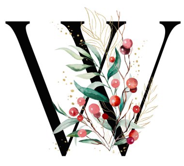 Renkli suluboya dallı, yeşil, altın yapraklı ve kırmızı dutlu siyah W harfi, izole Noel illüstrasyonu. Kış tatili için el boyaması alfabe elementi ve selamlar.