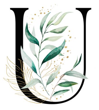 Yeşil ve altın suluboya yaprakları ve dalları olan siyah U harfi, izole bir illüstrasyon. Düğün kırtasiyesi ve tebrik kartları için Alfabe Yeşillik Elementi