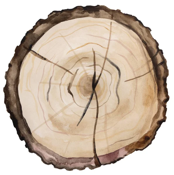 Vattenfärg Trä Rund Skiva Ett Träd Handmålat Isolerat Element Naturlig — Stockfoto