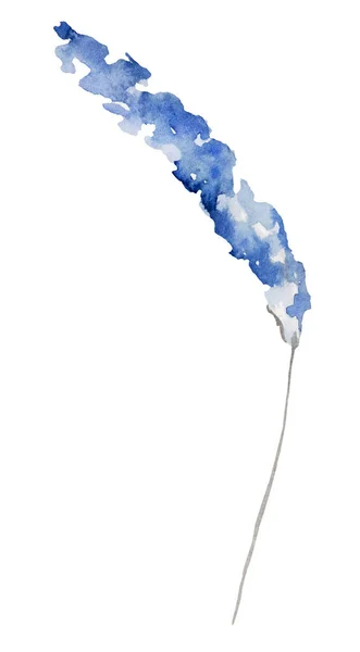 Акварельні Квіти Лаванди Ілюстрації Ізольовані Синій Сад Квітковий Елемент Літнього — стокове фото