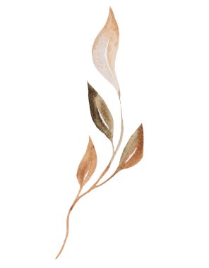 Suluboya kahverengi ve bej rengi ince yapraklar izole edilmiş. Sonbahar düğün kırtasiyesi ve tebrik kartları için Boho ögesi