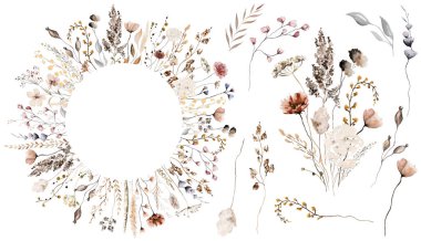 Çerçeve, buket ve tek elementler, suluboya kır çiçekleri, tohumlar ve yapraklar, izole bir illüstrasyon. Kahverengi, koyu kırmızı ve bej çiçekler sonbahar düğün kağıtları ve tebrik kartları için.