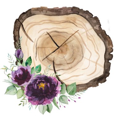 Mor güller ve yeşil yapraklarla suluboya ahşap dilimler. El yapımı izole bir element. Tasarım, baskı, durağanlık ve selamlama için doğal orman illüstrasyonu