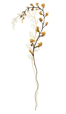 Suluboya kahverengi, sarı ve sarı kır çiçekleri izole edilmiş. Bahçe çiçekleri yaz ve sonbahar düğün kırtasiyesi ve tebrik kartları için