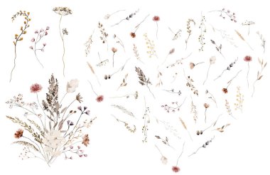 Sonbahar suluboya kır çiçekleri, tohum ve yapraklardan yapılmış, izole bir çiçek buketi. Sonbahar düğün kırtasiyesi ve tebrik kartları için kahverengi ve bej çiçekli çelenk.