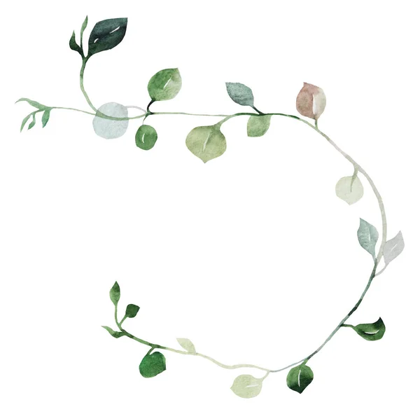 绿色小叶的水彩树枝 孤立的图例 春夏婚礼文具和贺卡的浪漫植物学元素 — 图库照片
