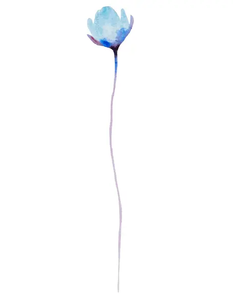 Akvarel Světle Modré Květy Izolované Ilustrace Zahrada Květinový Prvek Pro — Stock fotografie