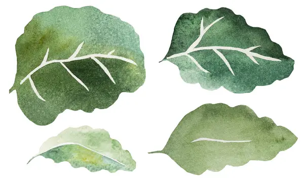 Aquarel Groene Bladeren Geïsoleerde Illustratie Romantisch Botanisch Element Voor Lente Rechtenvrije Stockfoto's