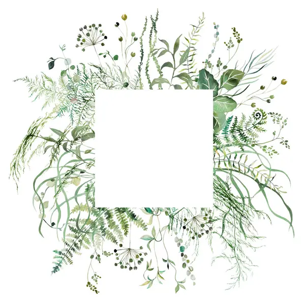 Квадратна Рамка Акварельними Гілочками Зеленим Листям Ізольована Ілюстрація Романтичний Ботанічний Стокове Фото